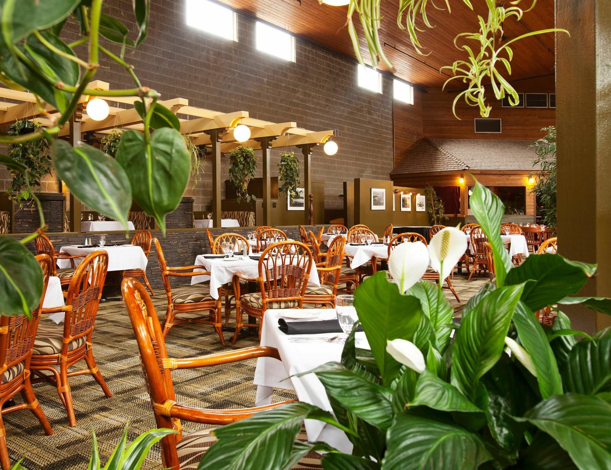 Surestay Hotel By Best Western Chilliwack Exterior photo